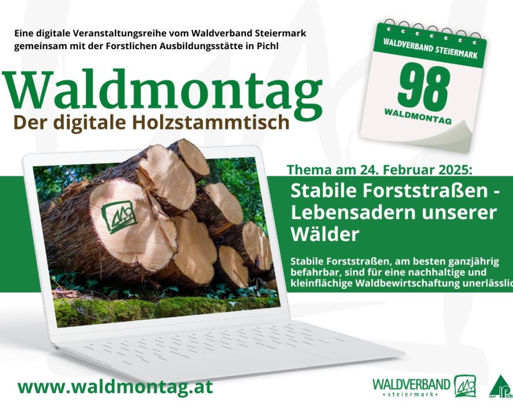 98_IN - 1200x900 Waldmontag